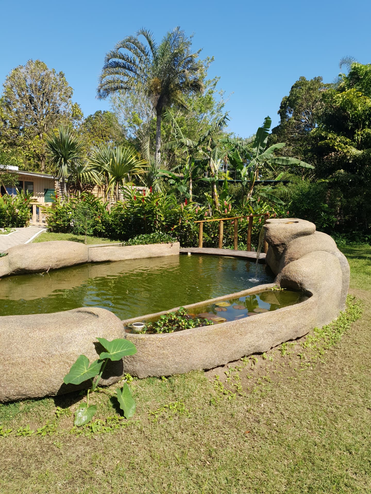 Lago com fonte de pedra cercado de palmeiras e jardim